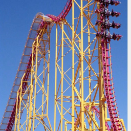 I Hate Roller Coasters