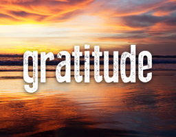 Gratitude: The Blog I Never Thought I’d Write.